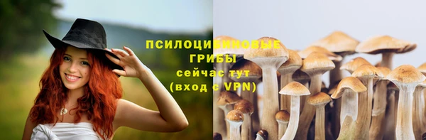 а пвп мука Осинники