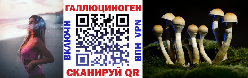 Псилоцибиновые грибы мицелий  наркошоп  Нахабино 